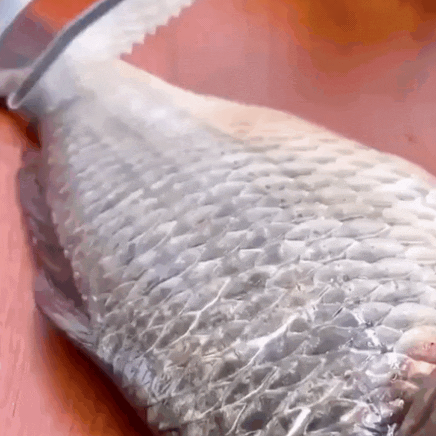 FlexiFish - Ostry nóż do ryb